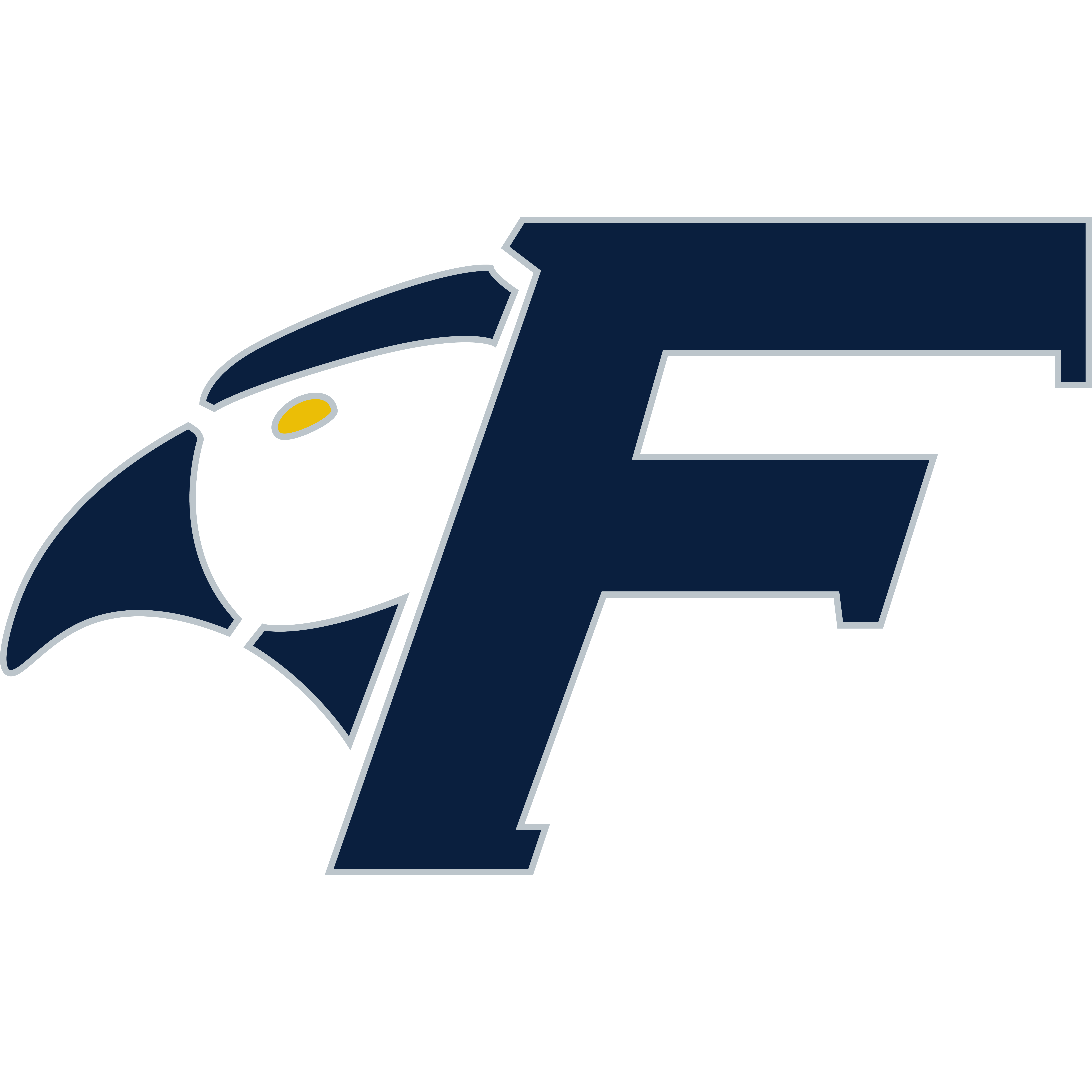 Fisher College logo